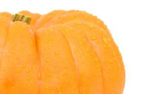 Scary Tap Water Facts for Hallowe'en