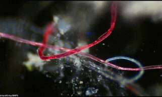Plastic contaminates UK tap water and bottled water