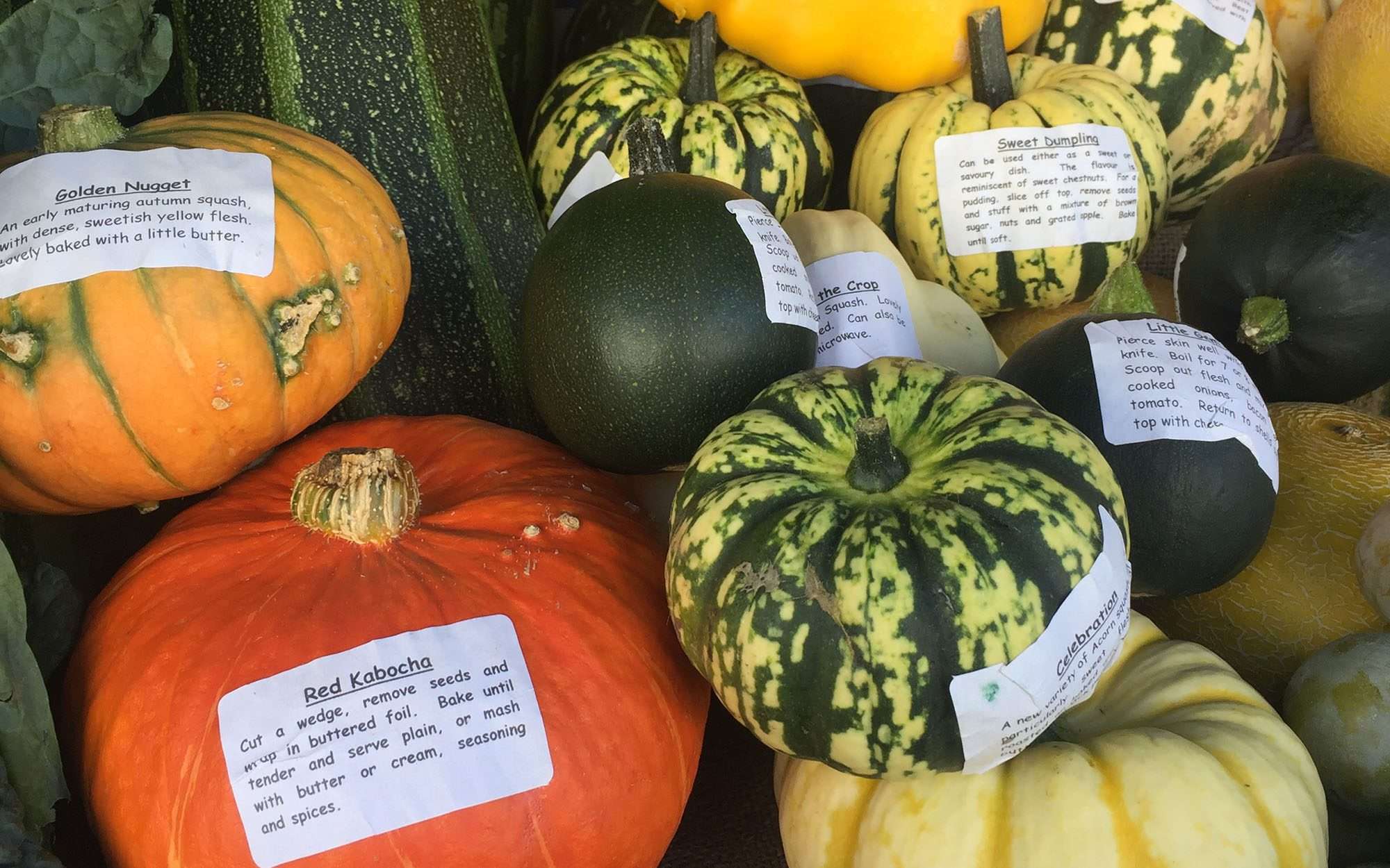 Sustainable Hallowe'en Natural Decorations