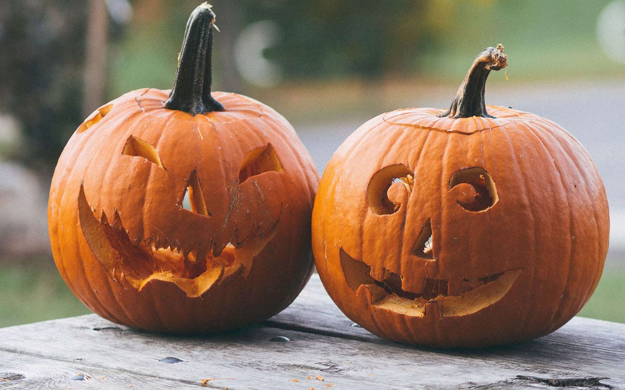 Sustainable Hallowe'en pumpkins Sustainable Hallowe'en pumpkins
