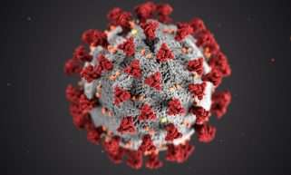 Coronavirus