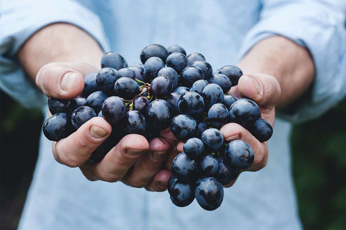 Choose your red wines carefully