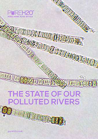 The state of our polluted rivers