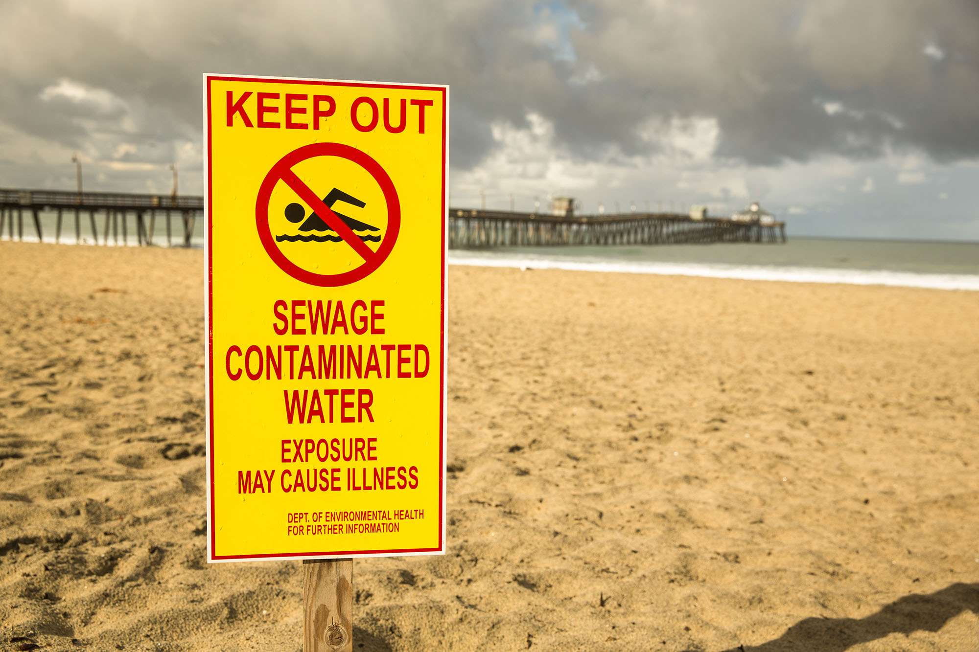 Intestinal viruses from sewage dumping survive in water by hitchiking on microplastics