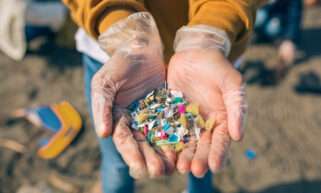 Microplastics affects human health as well as the environment
