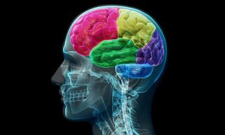 MICROPLASTICS FOUND IN BRAIN